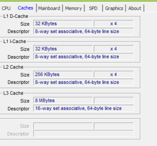 What's your memory assessment speed? [2]-cachesscsh.png