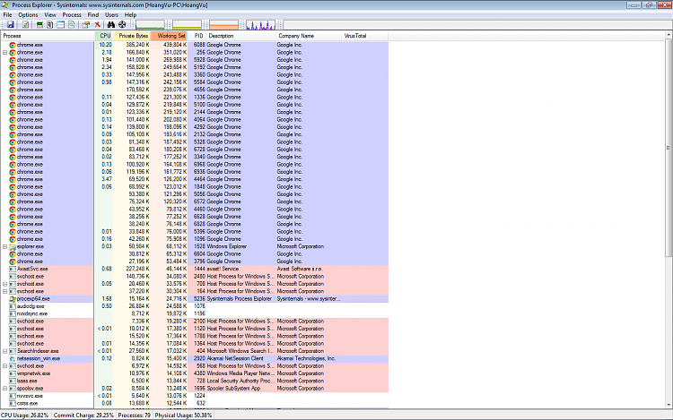 Odd problems caused by extremely high CPU and Physical Memory Usage-pe1.png