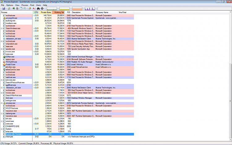 Odd problems caused by extremely high CPU and Physical Memory Usage-pe2.png