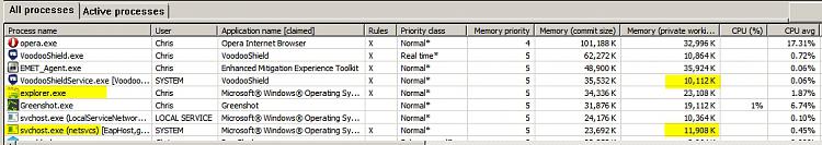 explorer.exe higher than normal mem usage-memory-usage.jpg