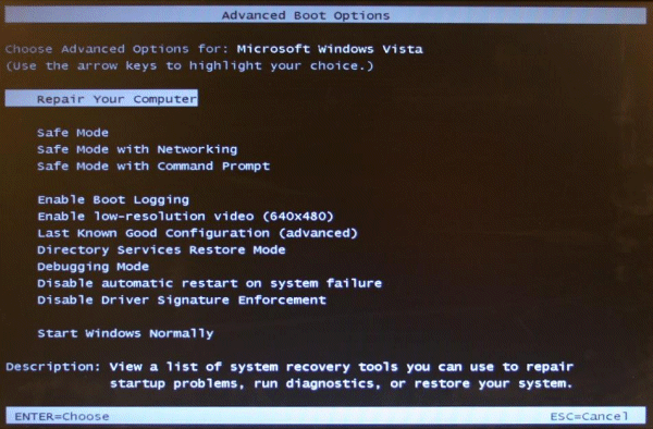 Repair CD - System Repair Disk-advancedbootoptions.gif