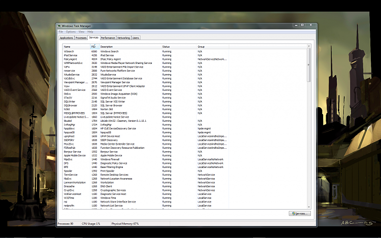 Windows 7 Ram usage overload-2010-08-25_020158.png