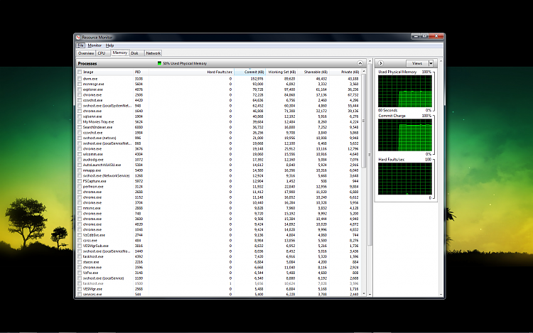 Windows 7 Ram usage overload-2010-08-25_020314.png