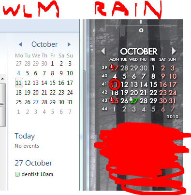 Desktop diary or personal organiser?-wlmrain.png