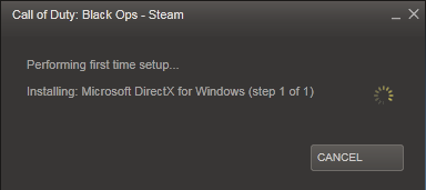 DirectX Installation Error, COD Black Ops-pic1.png