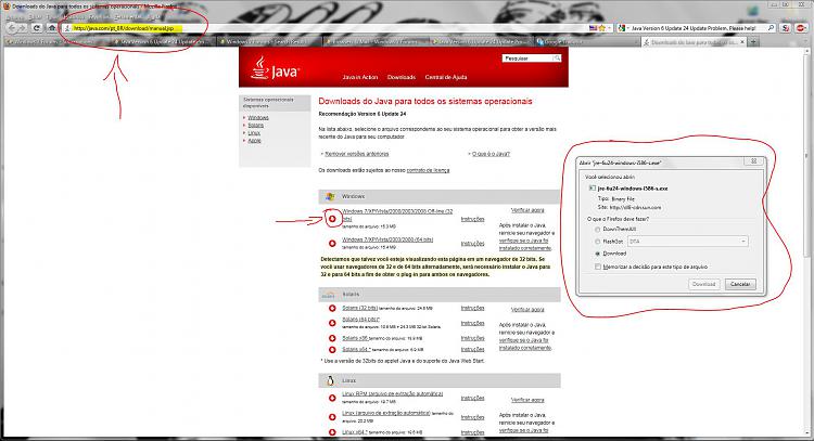 Java Version 6 Update 24 Update Problem. Please help!-capturar.jpg