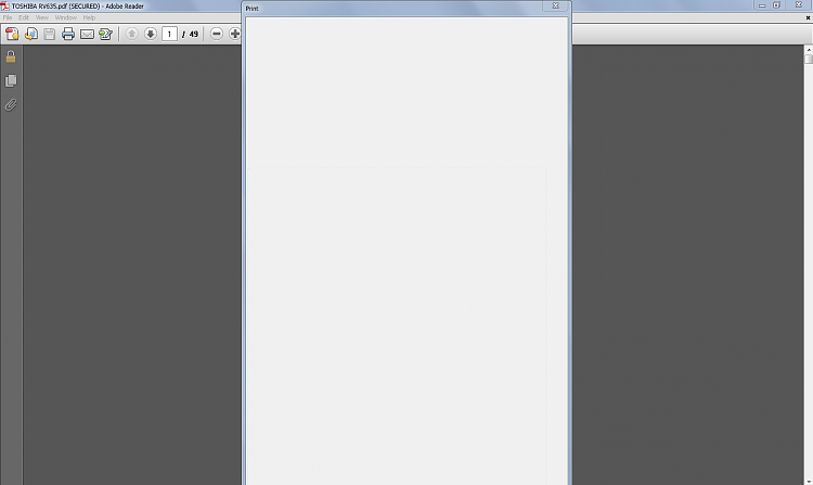 Blank windows from Adobe Reader X preferences, properties and more...-capture.png