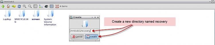 Lucid Puppy way to recover files from a non-bootable computer-07-create-dir.jpg