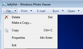 Is there a way to use Windows XP Image Viewer on Win7?-2013-05-05_151548.png