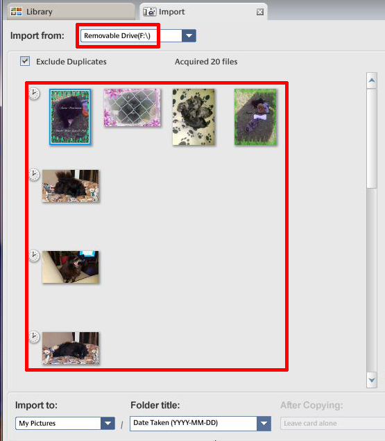 Is Picasa still available to download?-p2.jpg