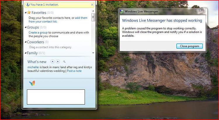 Problem using MSN Messenger-capture.jpg