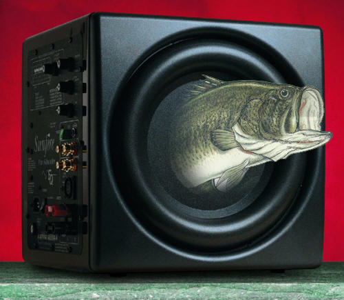 no bass coming out of my subwoofer-bass.jpg