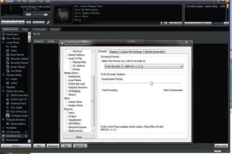 Flac Codecs-winamp.png