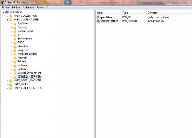 weird chinese registry key in registry-capture.jpg
