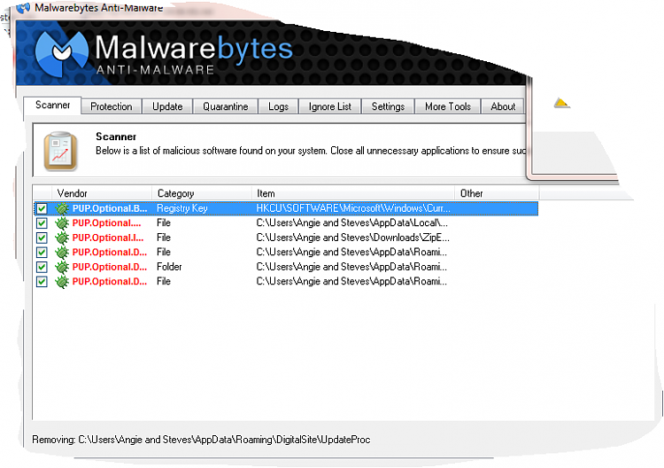 PUP.Optional in Registry Key will not go away-capture-4.png