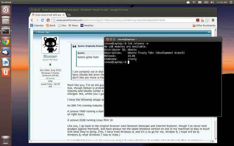 Even Linux is not safe any more-screenshot-2014-01-06-00-48-37.png