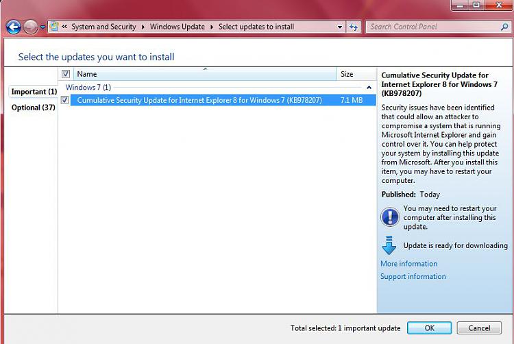 Microsoft Security Bulletin  for January 21, 2010-capture.jpg