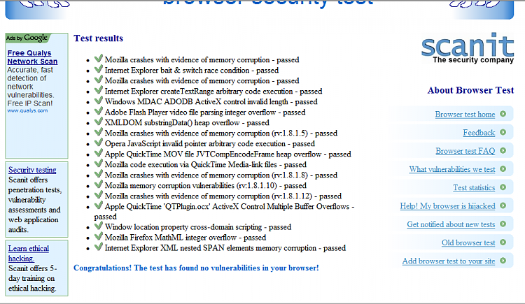 Browser Security Test-ie8-results.png