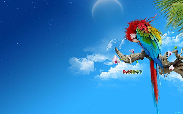 hi freinds ! i need this theme win 7  !-the_parrot_by_termapix.jpg