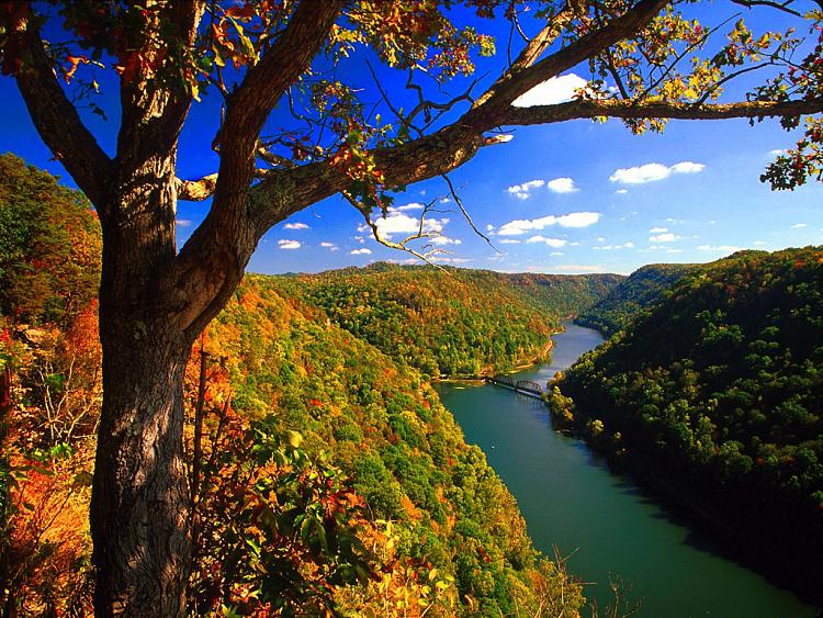 Windows 7 Stateside Themes-013_west_virginia-hawks-nest-state-park.jpg