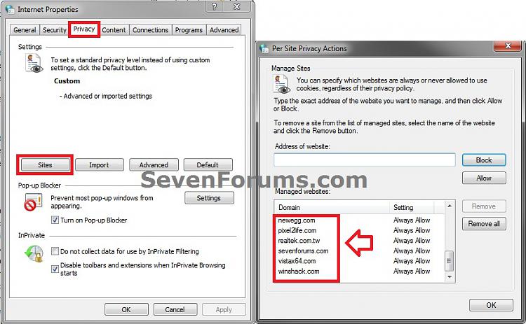 Internet Explorer Cookies Per Site Privacy Actions - Import and Export-example2.jpg