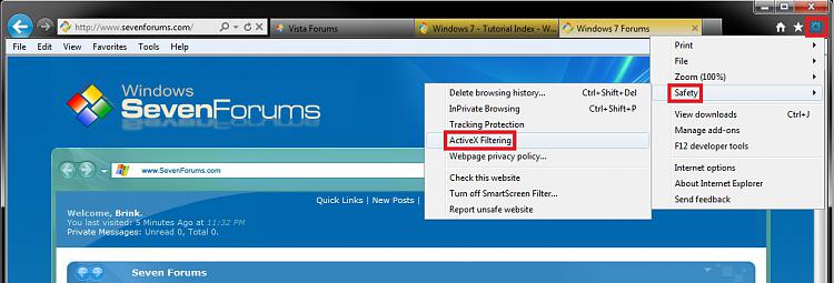 Internet Explorer &quot;ActiveX Filtering&quot; - Turn On or Off-gear.jpg