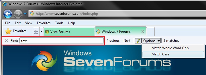 Find on this Page - Use in Internet Explorer-options.jpg