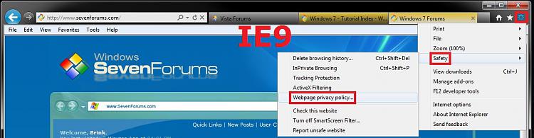 Internet Explorer  - Webpage Privacy Report-ie9.jpg