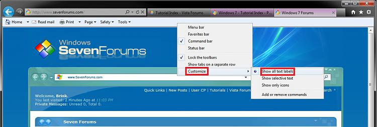 Internet Explorer Command Bar - Customize-text_labels.jpg