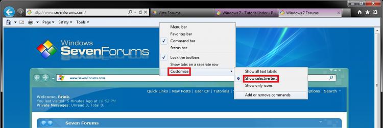 Internet Explorer Command Bar - Customize-selective_text.jpg