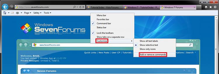 Internet Explorer Command Bar - Customize-add-remove_commands.jpg