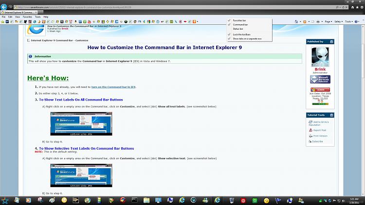 Internet Explorer Command Bar - Customize-no-customize.jpg