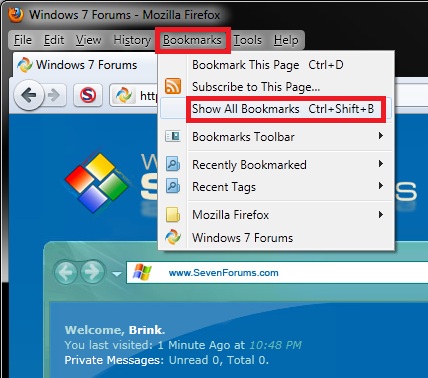 Firefox Bookmarks - Import into Internet Explorer Favorites-ff-1.jpg