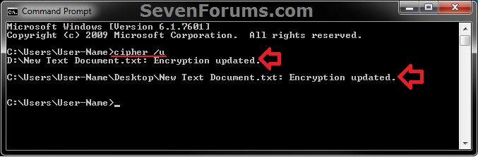Encrypted Files - Find All on the Local Hard Drives-cmd-1.jpg