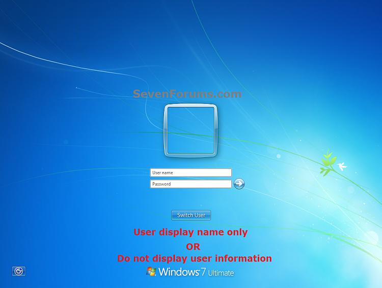 Lock Computer Screen - Display User Information or Not-username-password.jpg