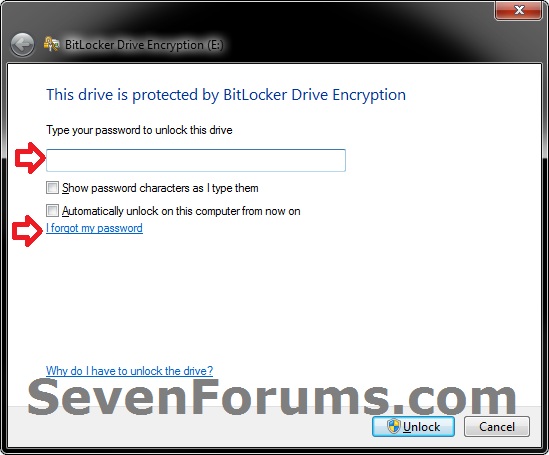 BitLocker Drive Encryption - Unlock a Locked Data or Removable Drive-forgot.jpg