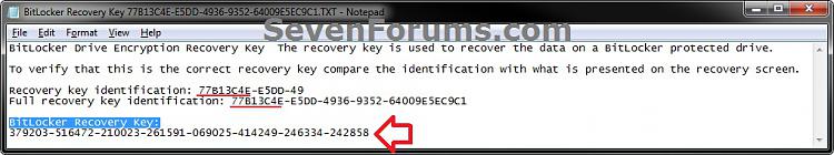 BitLocker Drive Encryption - Unlock a Locked OS Drive-key2.jpg