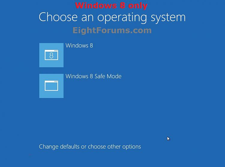 Windows Boot Manager - Delete a Listed Operating System-startup_options.jpg