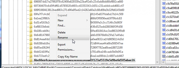 Windows Update Manifests - Manually Trace Through Registry-11.-catalog-rename.png