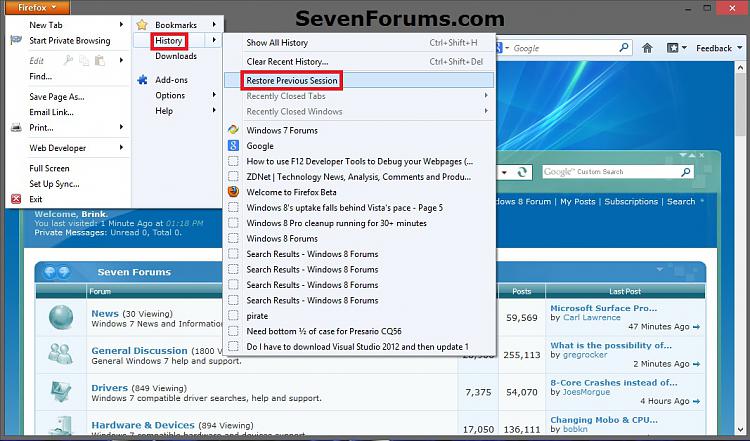 Firefox - Restore Previous Browsing Session-firefox_button.jpg