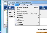 Windows Mail-message.jpg