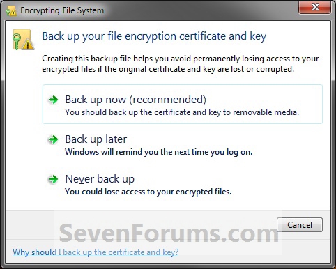 Offline Files - Encrypt or Unencrypt-backup1.jpg