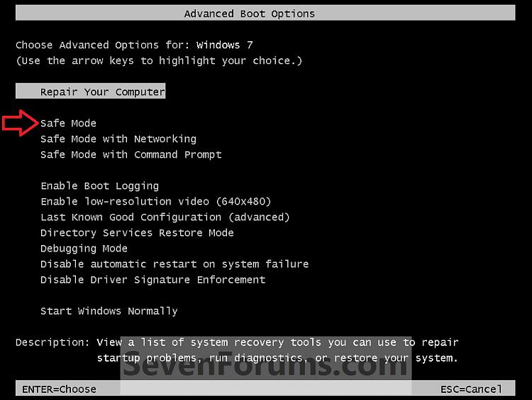 Safe Mode-advanced_boot_options.jpg