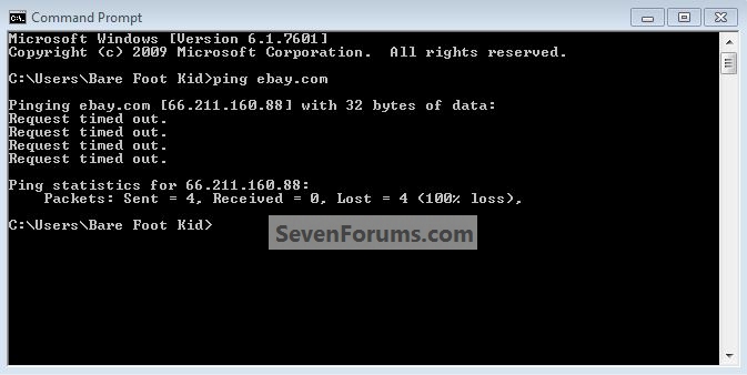 Hosts File : Use in Windows 7 / Vista-ping_ebay.jpg