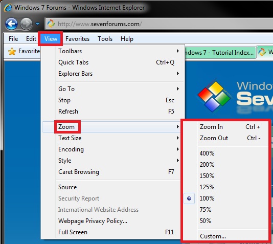 Internet Explorer Zoom Level-menu_bar.jpg