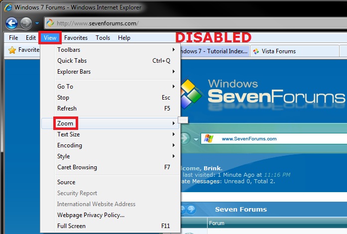 Internet Explorer Zoom - Enable or Disable-disabled_view_menu_bar.jpg