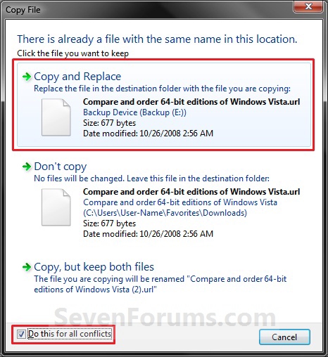 Restore Backup User and System Files-copy-replace.jpg