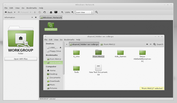 VMWare Player network adapter settings - which one?-mounted.png
