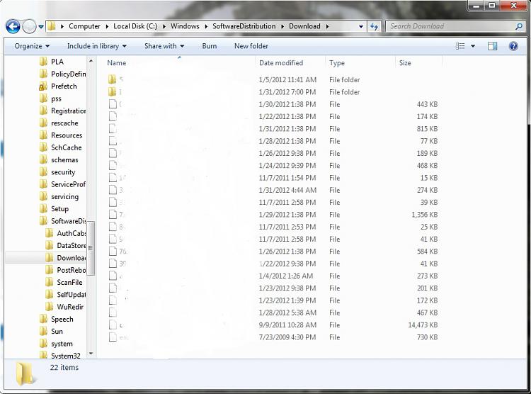 Clean of the Windows updates folders-c-2-.jpg