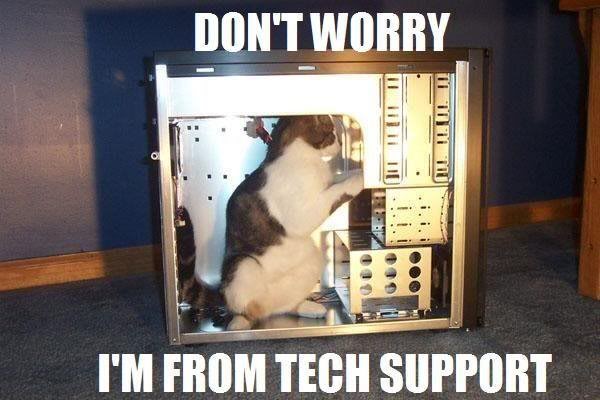 What fixed my windows update problems-cat-tech.jpg